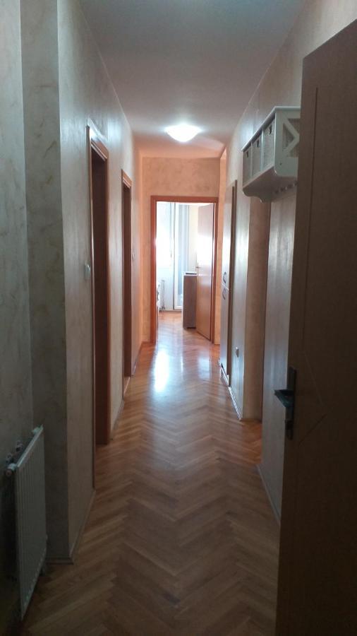 Apartman Anja Novi Sad Exterior foto