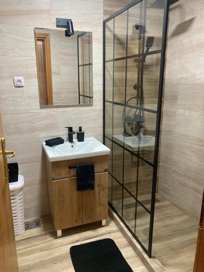 Apartman Anja Novi Sad Exterior foto
